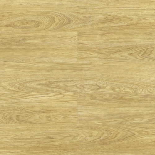 Dąb Hollywood D4581 AC5 8 mm