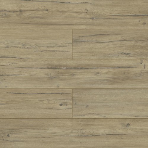 Panele Podłogowe Swiss Krono Dąb Condor D40254 AC5 8 mm