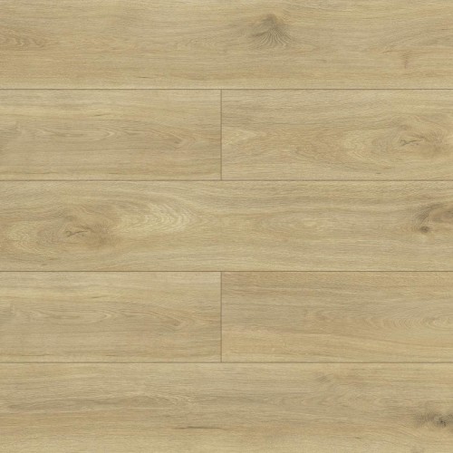 Panele podłogowe Dąb di Trevi D4917 AC5 8 mm